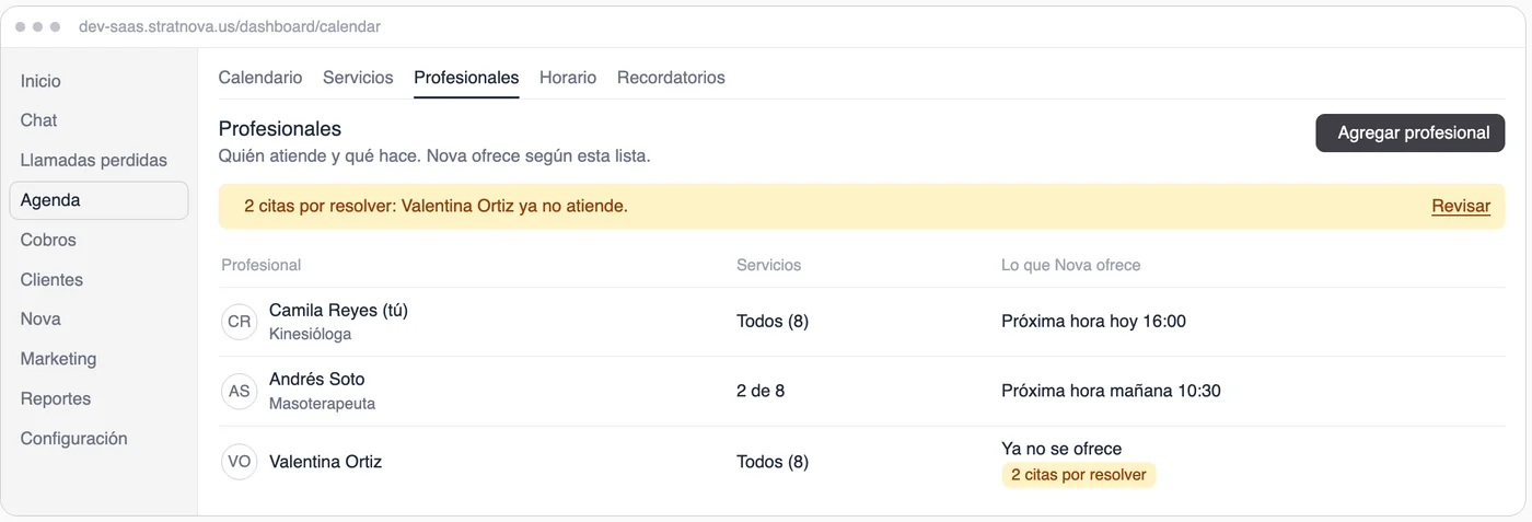 Wireframe of the Professionals tab with three people and a notice of appointments to resolve